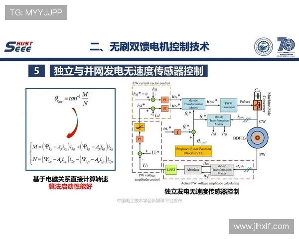 乒乓球运动的魅力与发展历程：从技术创新到全球普及的辉煌之路